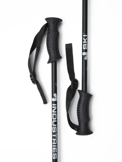 alpine pole u
