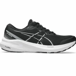 gel-phoenix 13 w