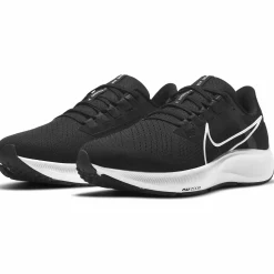 pegasus 38 m