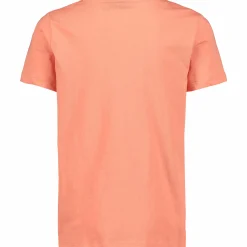 so print tee b jr